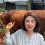 Dewi Perssik Siapkan Sapi Jumbo 2,4 Ton untuk Kurban Idul Adha