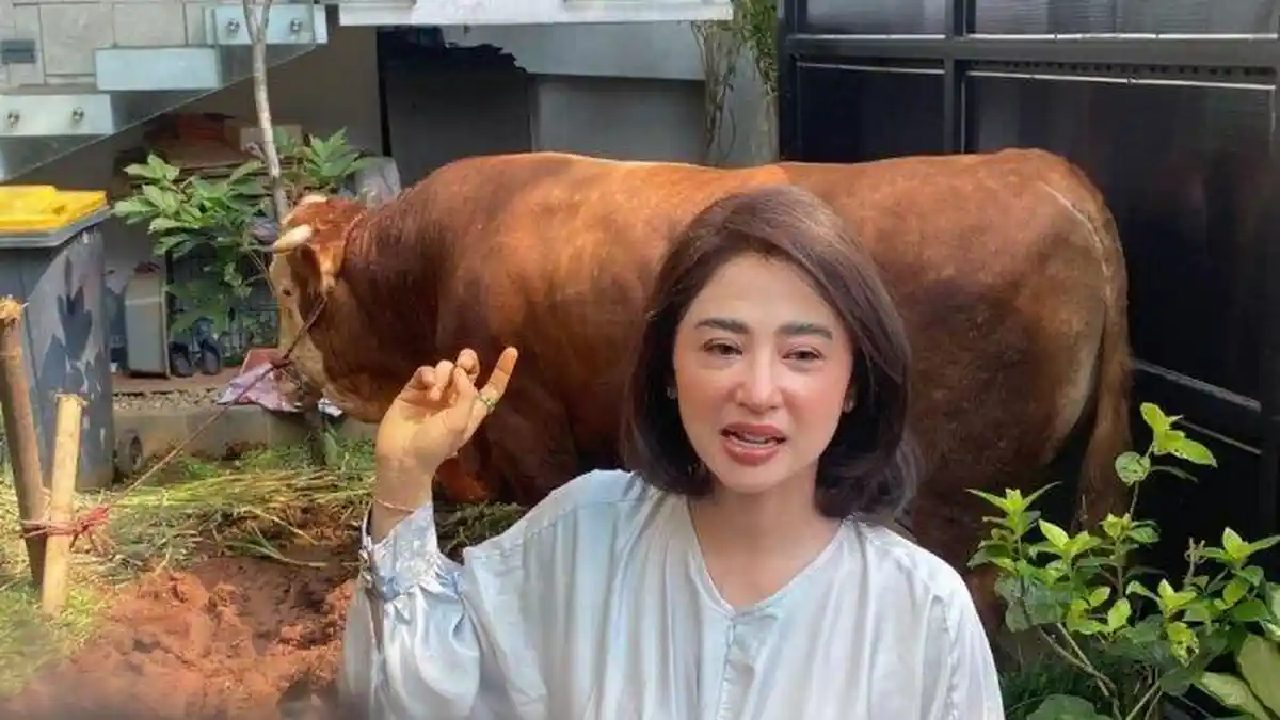 Dewi Perssik Siapkan Sapi Jumbo 2,4 Ton untuk Kurban Idul Adha