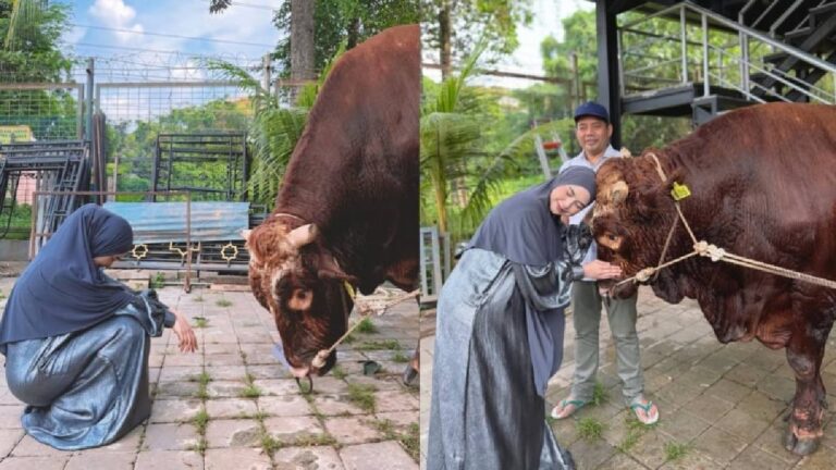 Tangis Ria Ricis Pecah Saat Saksikan Sapi Kurban Disembelih, Suasana Masjid Mendadak Haru